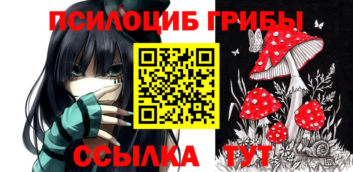 Псилоцибиновые грибы Cubensis  Дедовск  Галлюциногенные грибы Cubensis 