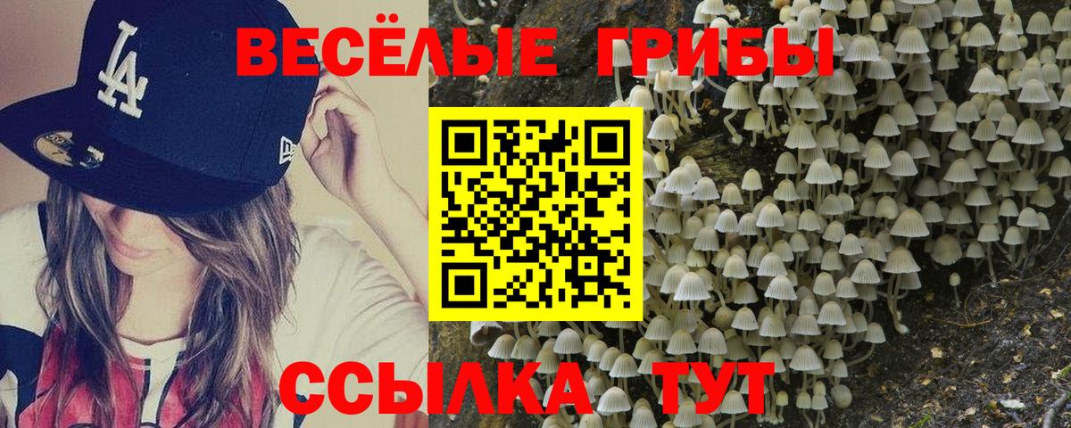 Псилоцибиновые грибы мицелий  Вход с VPN  Дедовск  Псилоцибиновые грибы прущие грибы 
