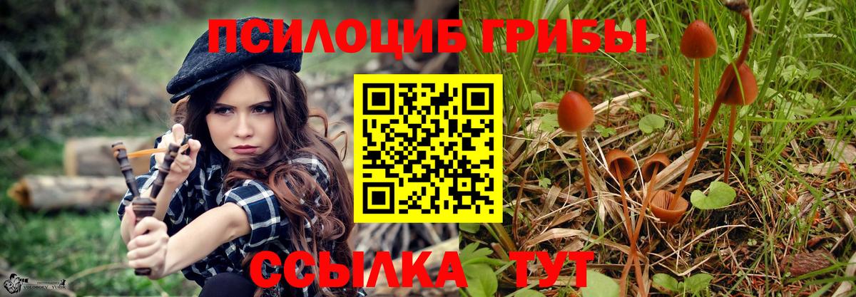 Псилоцибиновые грибы Psilocybine cubensis Дедовск